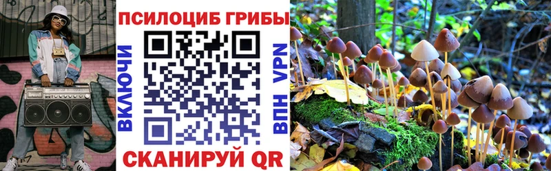 Псилоцибиновые грибы прущие грибы  хочу наркоту  Новосиль 